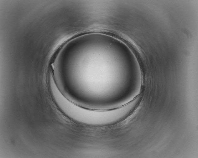 X0000111851461200907231418