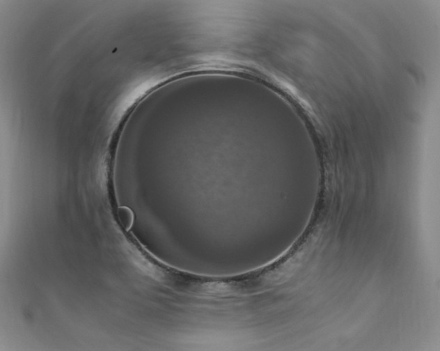 X0000111851463200907231418