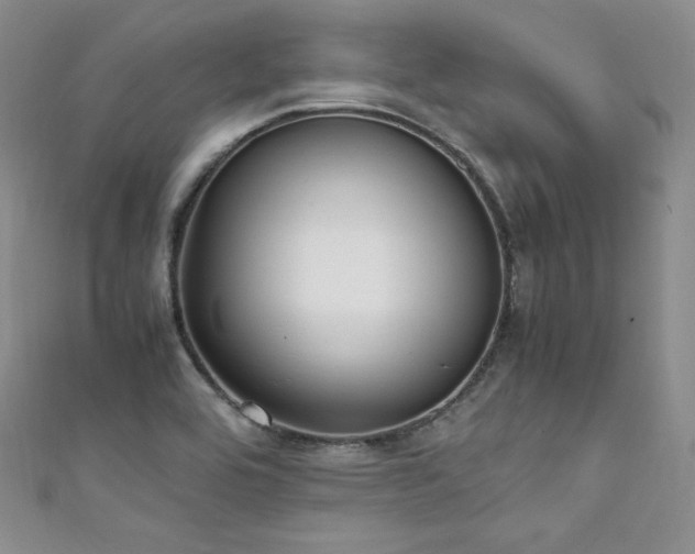 X0000111851464200907231418