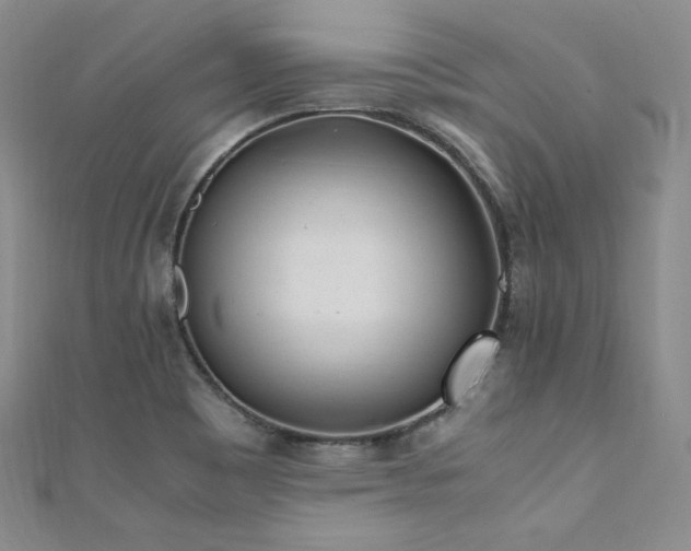 X0000111851465200907231418