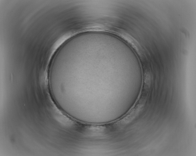 X0000111851466200907231418