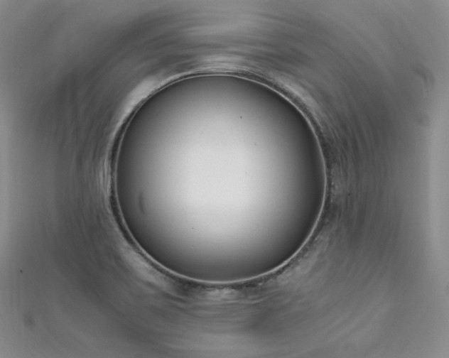 X0000111851467200907231418