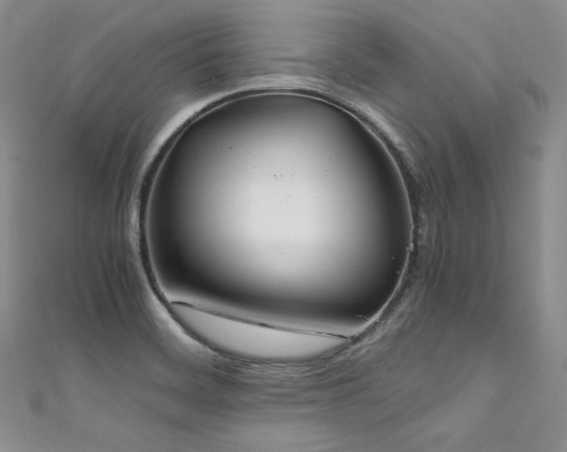 X0000111851468200907231418