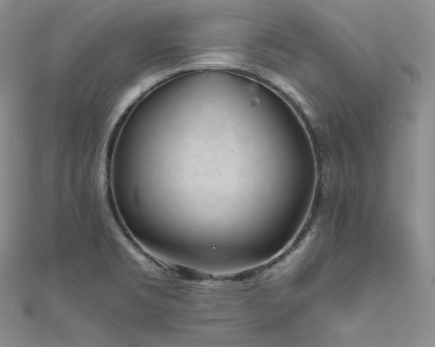 X0000111851469200907231418