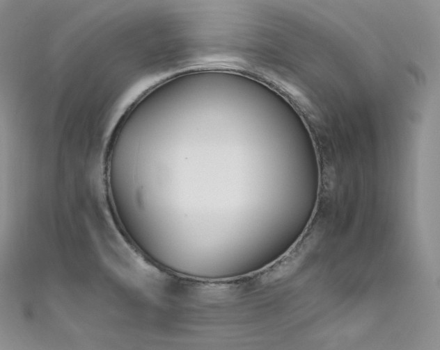 X0000111851470200907231418