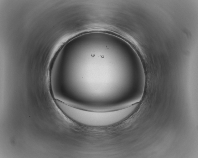 X0000111851472200907231418