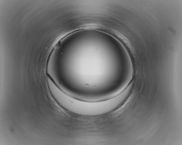 X0000111851473200907231418
