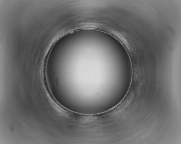 X0000111851475200907231418