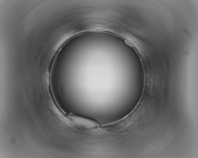 X0000111851476200907231418