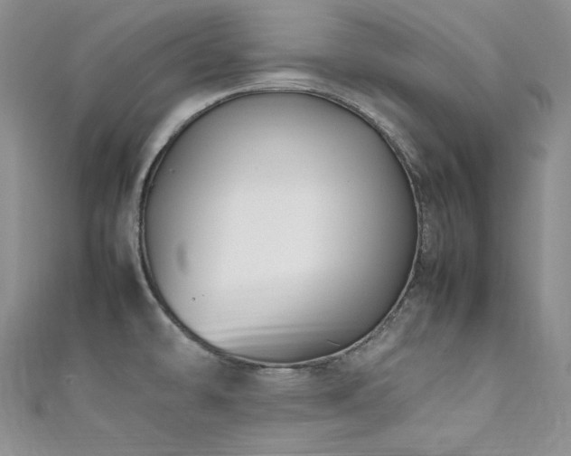 X0000111851478200907231418
