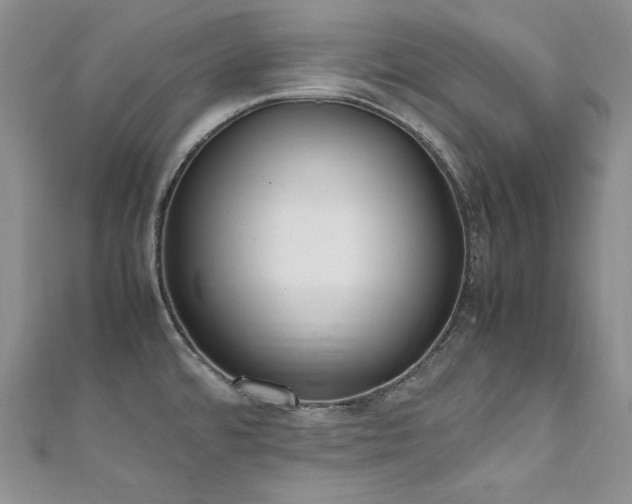X0000111851480200907231418