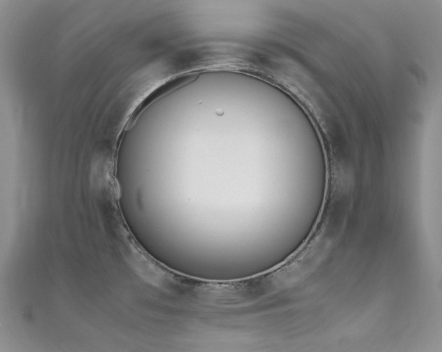 X0000111851481200907231418