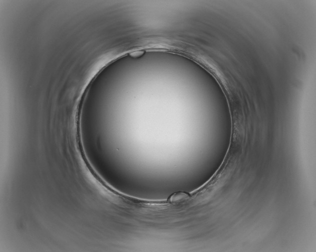 X0000111851483200907231418
