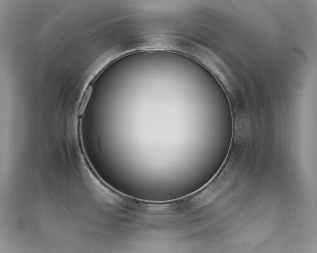 X0000111851484200907231418