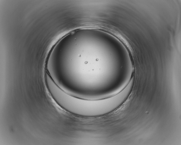 X0000111851485200907231418