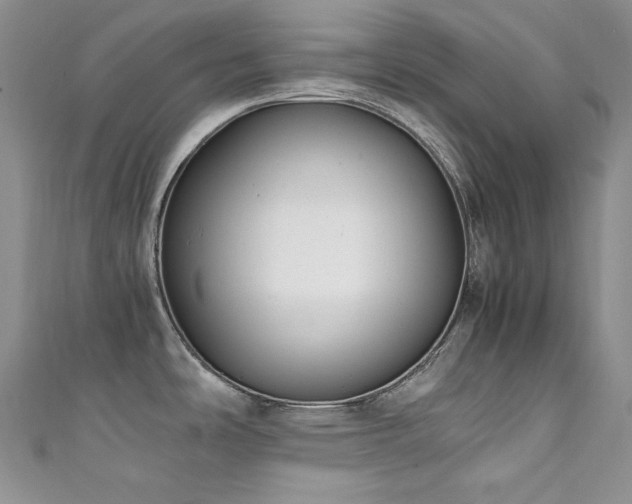 X0000111851486200907231418