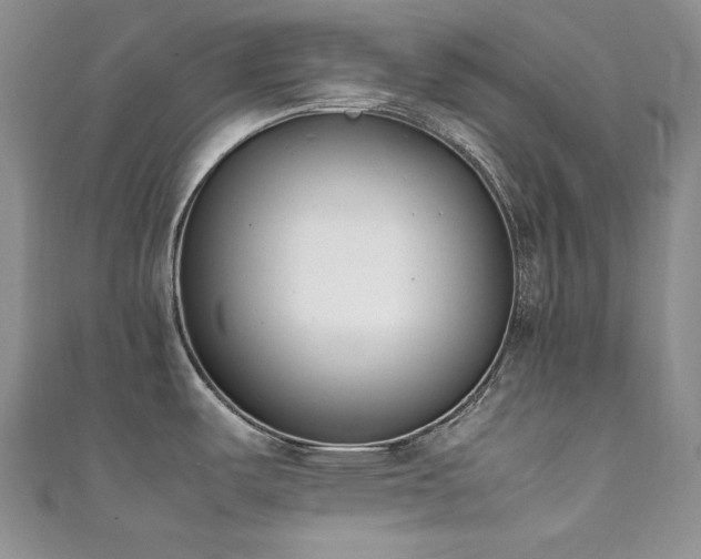 X0000111851487200907231418