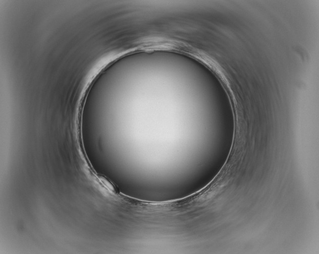 X0000111851488200907231418
