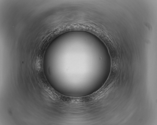 X0000111851490200907231417