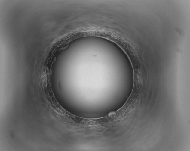 X0000111851493200907231417
