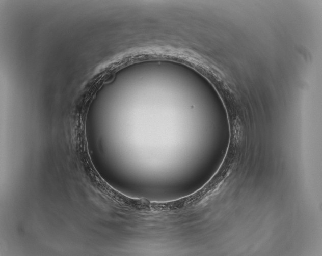 X0000111851494200907231417