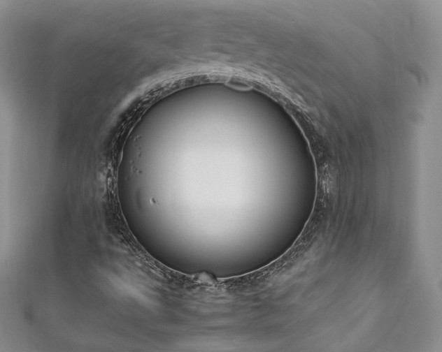 X0000111851495200907231417