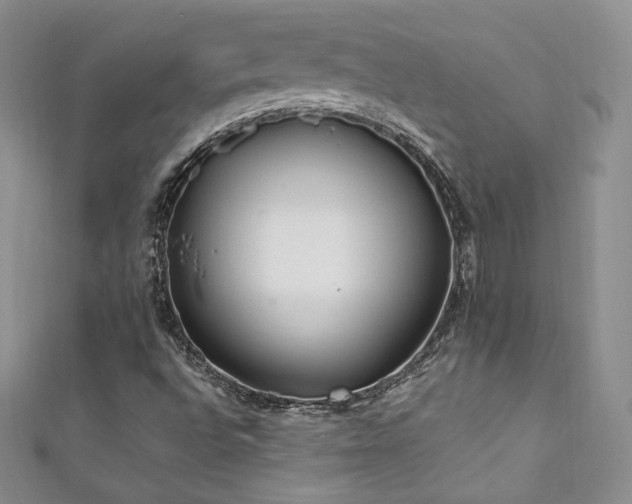 X0000111851496200907231417