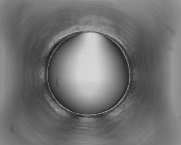 X0000111851499200907231418
