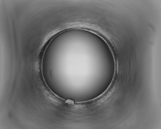 X0000111851501200907231418