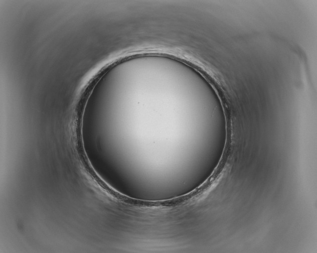 X0000111851502200907231418