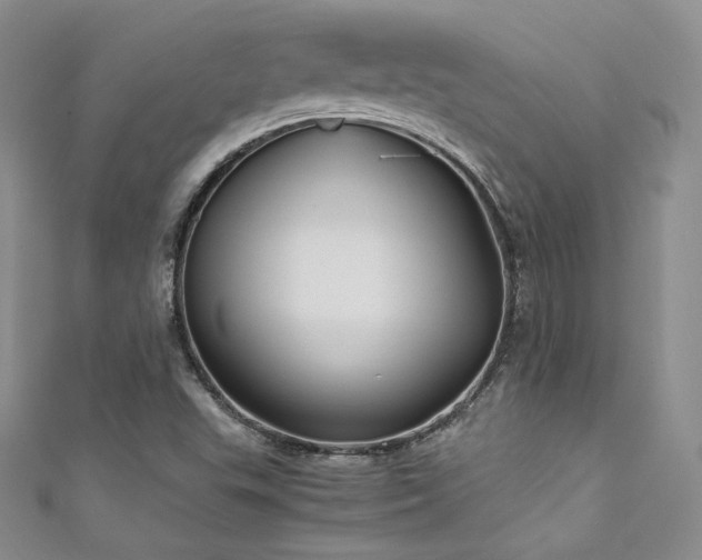 X0000111851503200907231418