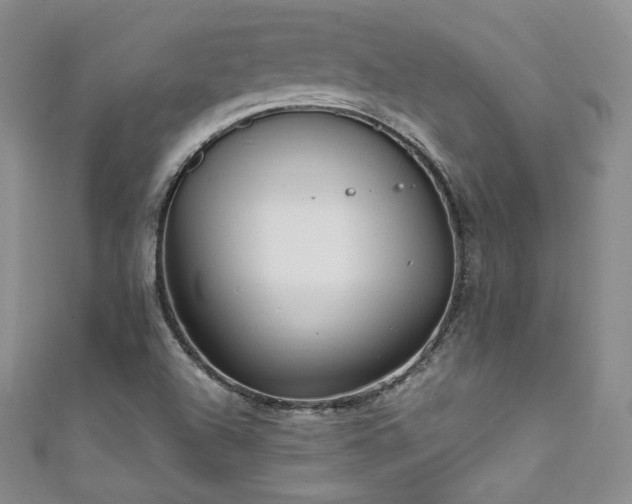 X0000111851504200907231418