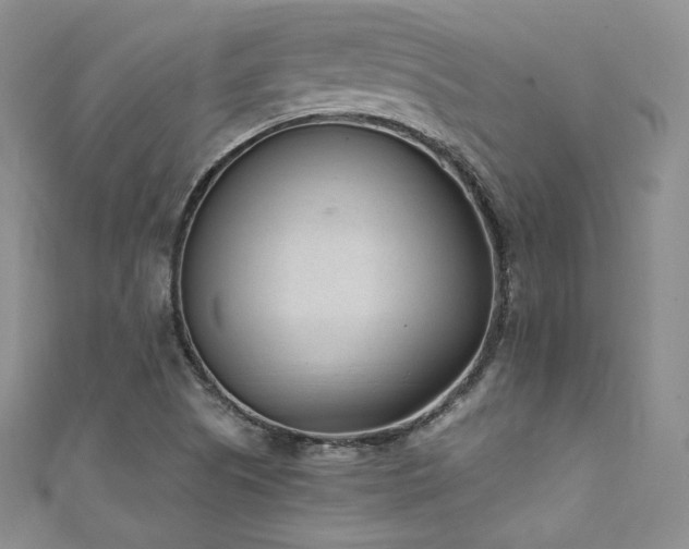 X0000111851505200907231418