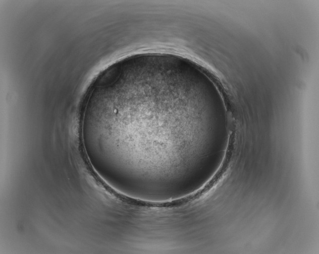 X0000111851506200907231418