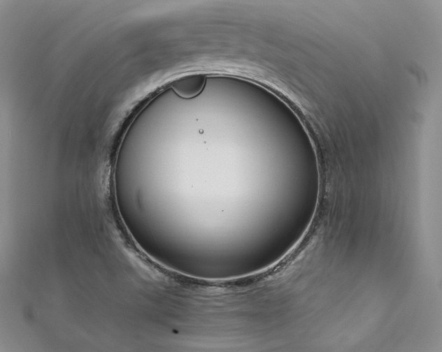 X0000111851507200907231418