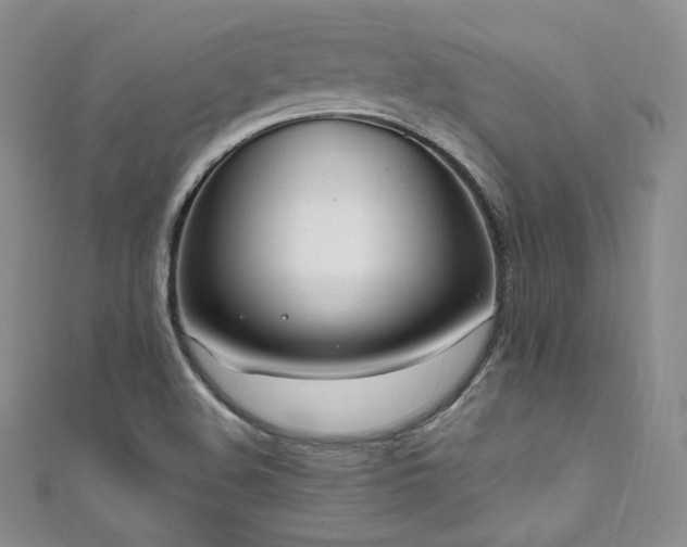 X0000111851508200907231418