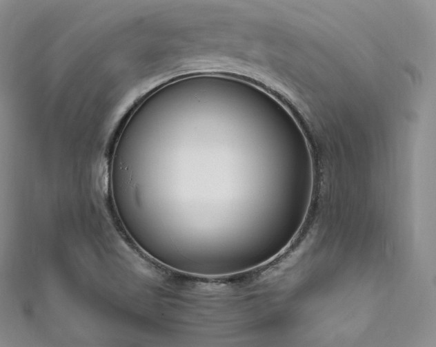 X0000111851509200907231418