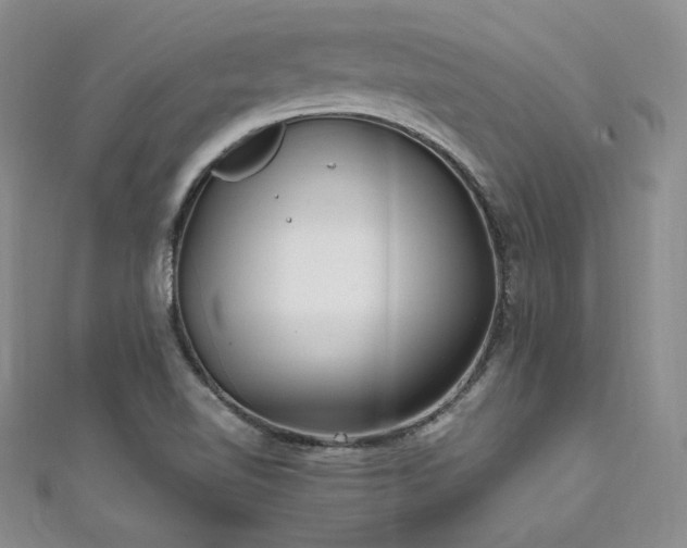 X0000111851510200907231418