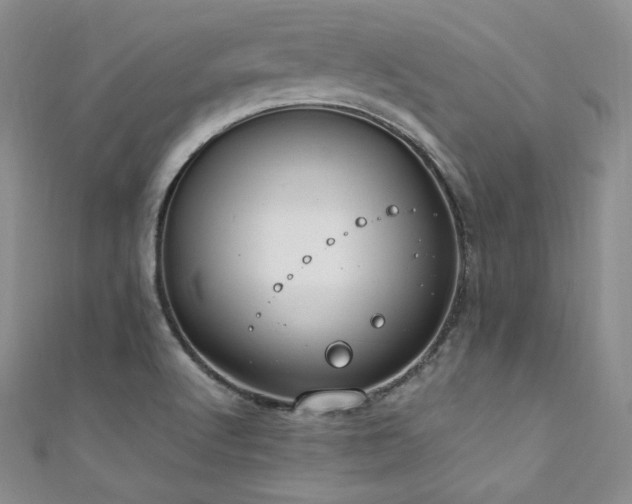 X0000111851512200907231418