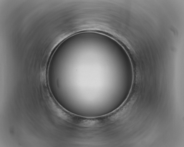 X0000111851513200907231418