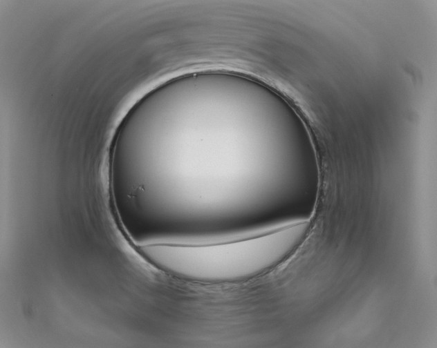 X0000111851516200907231418