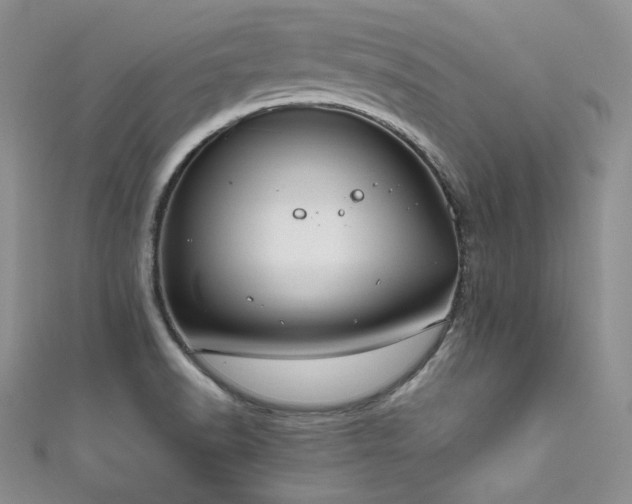 X0000111851518200907231418