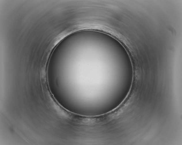 X0000111851521200907231418