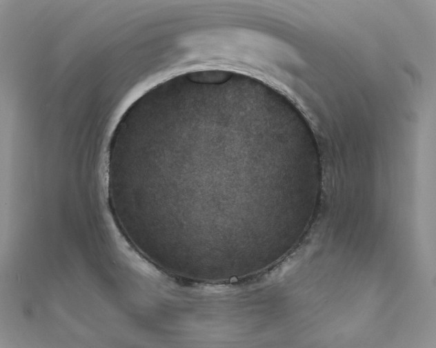 X0000111851522200907231418