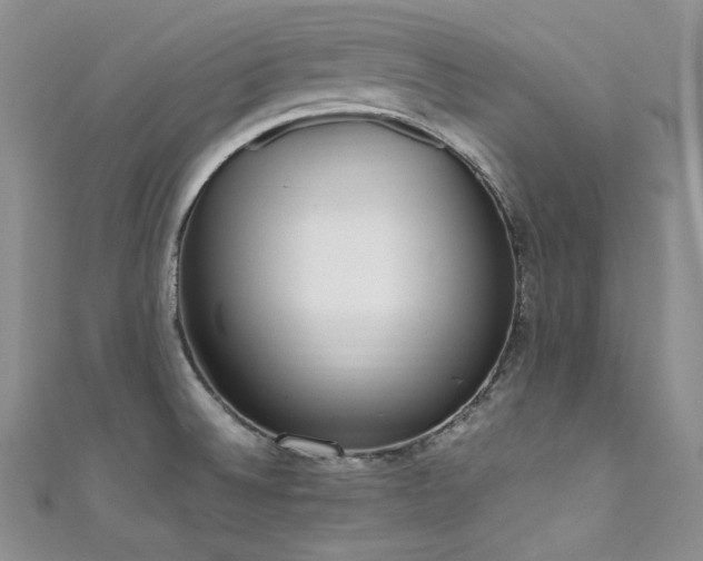 X0000111851524200907231418