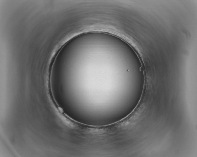 X0000111851525200907231418