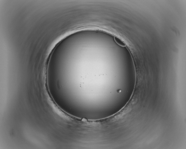 X0000111851526200907231418