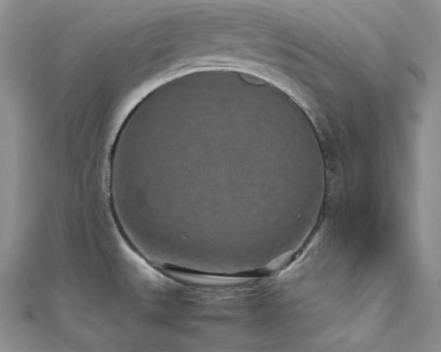 X0000111851527200907231418