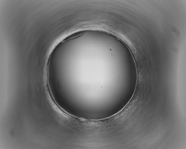 X0000111851528200907231418