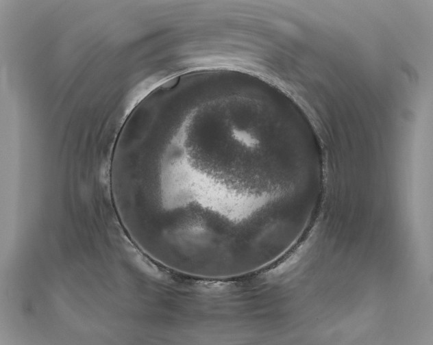 X0000111851529200907231418